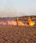 Bourke Airport hazard reduction