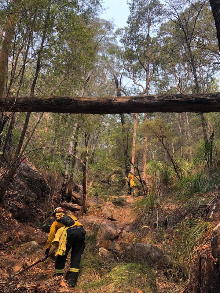 Grose Valley Fire Contained 1