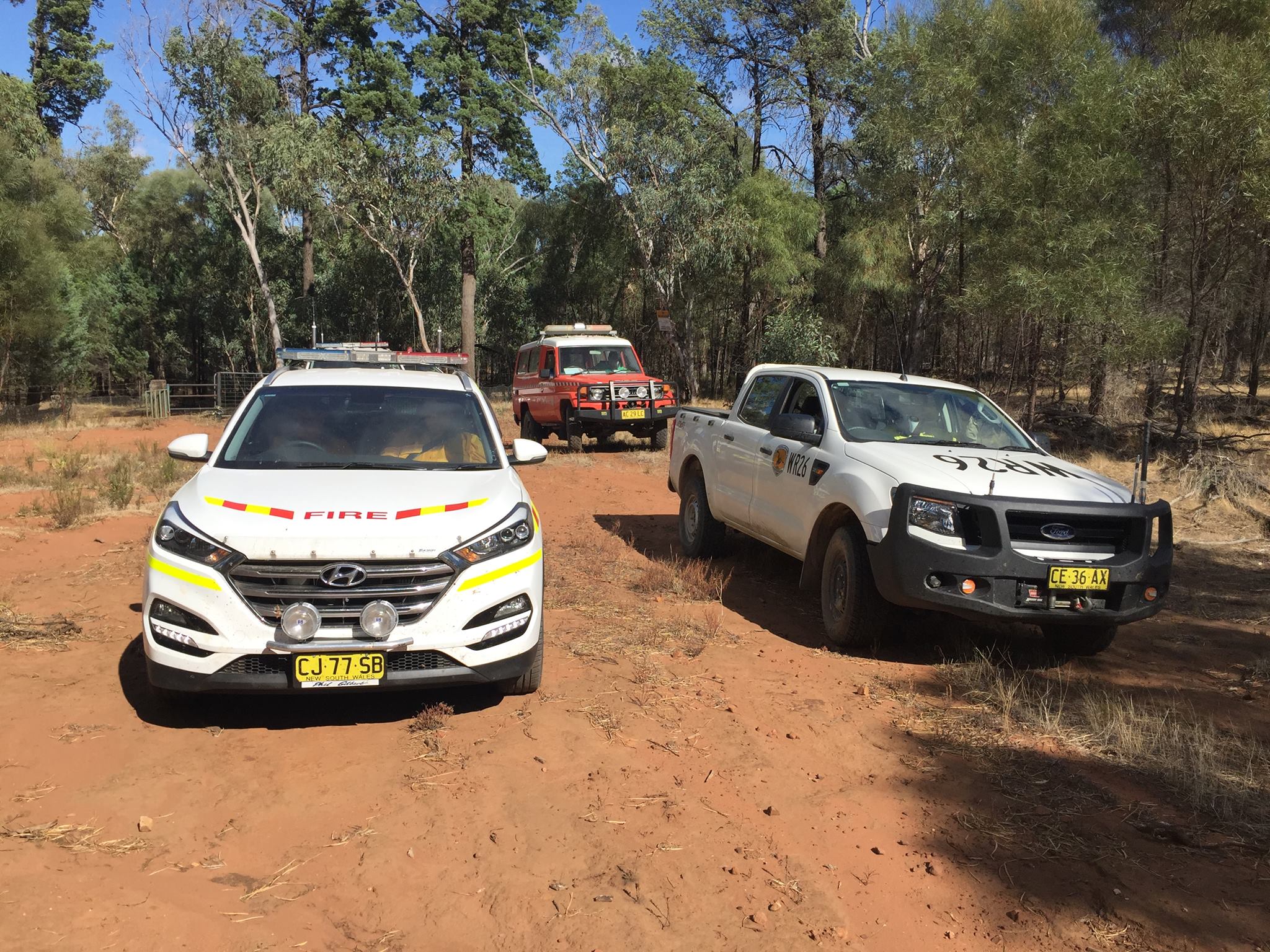 Senior Management Team meeting in Weddin National Park 2