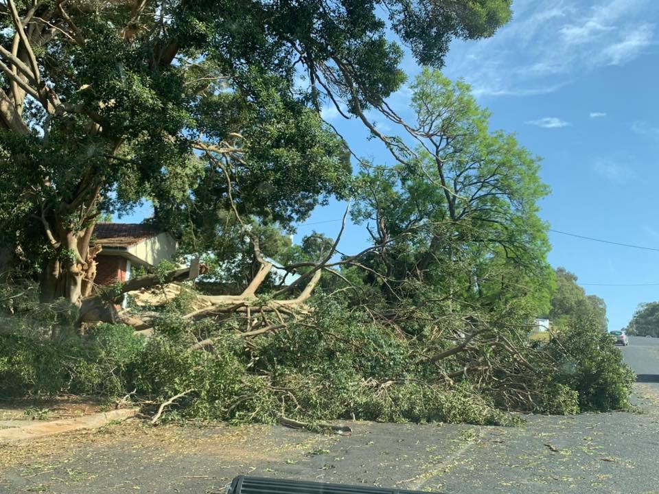 Parkes storm 8