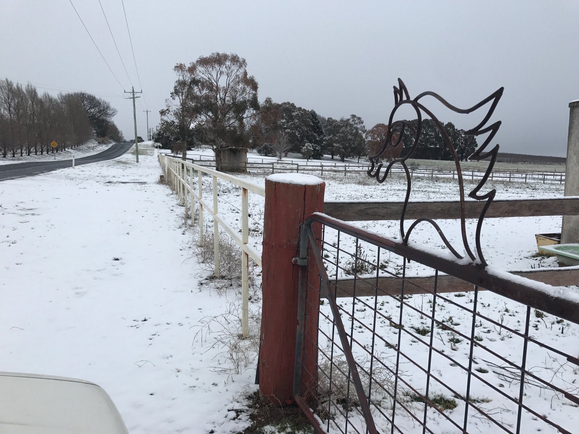 Tablelands snow 6