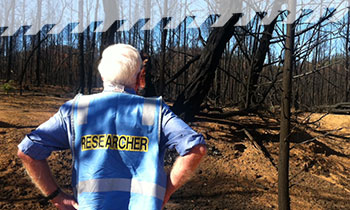 A Bushfire CRC researcher