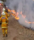 Bushfire-media-coverage-January-9th