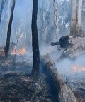 NSW GOVERNMENT MOVES TO PROTECT EMERGENCY WORKERS AND HOMEOWNERS FROM BUSH FIRE THREAT