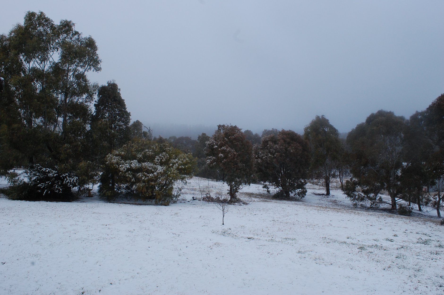 Tablelands snow 8