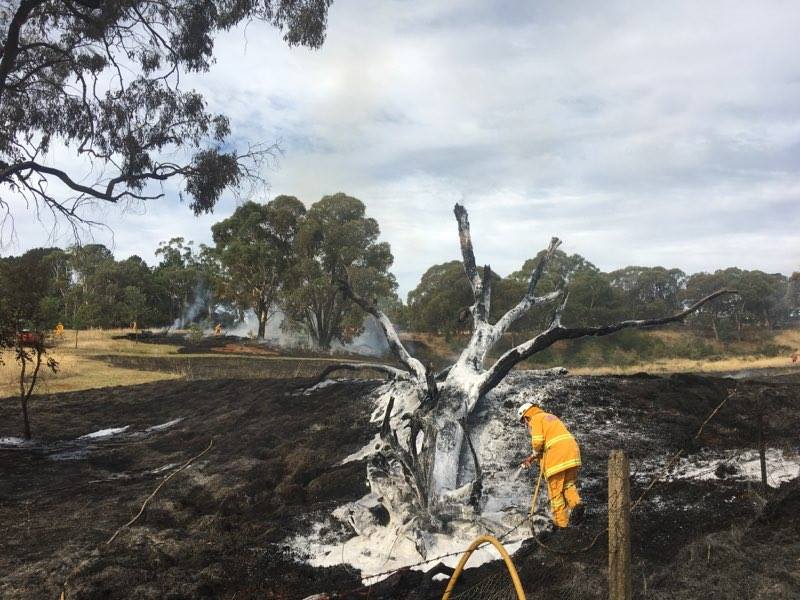 Stanford Road Fire 1 