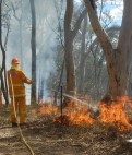 Clifton Grove Hazard Reduction