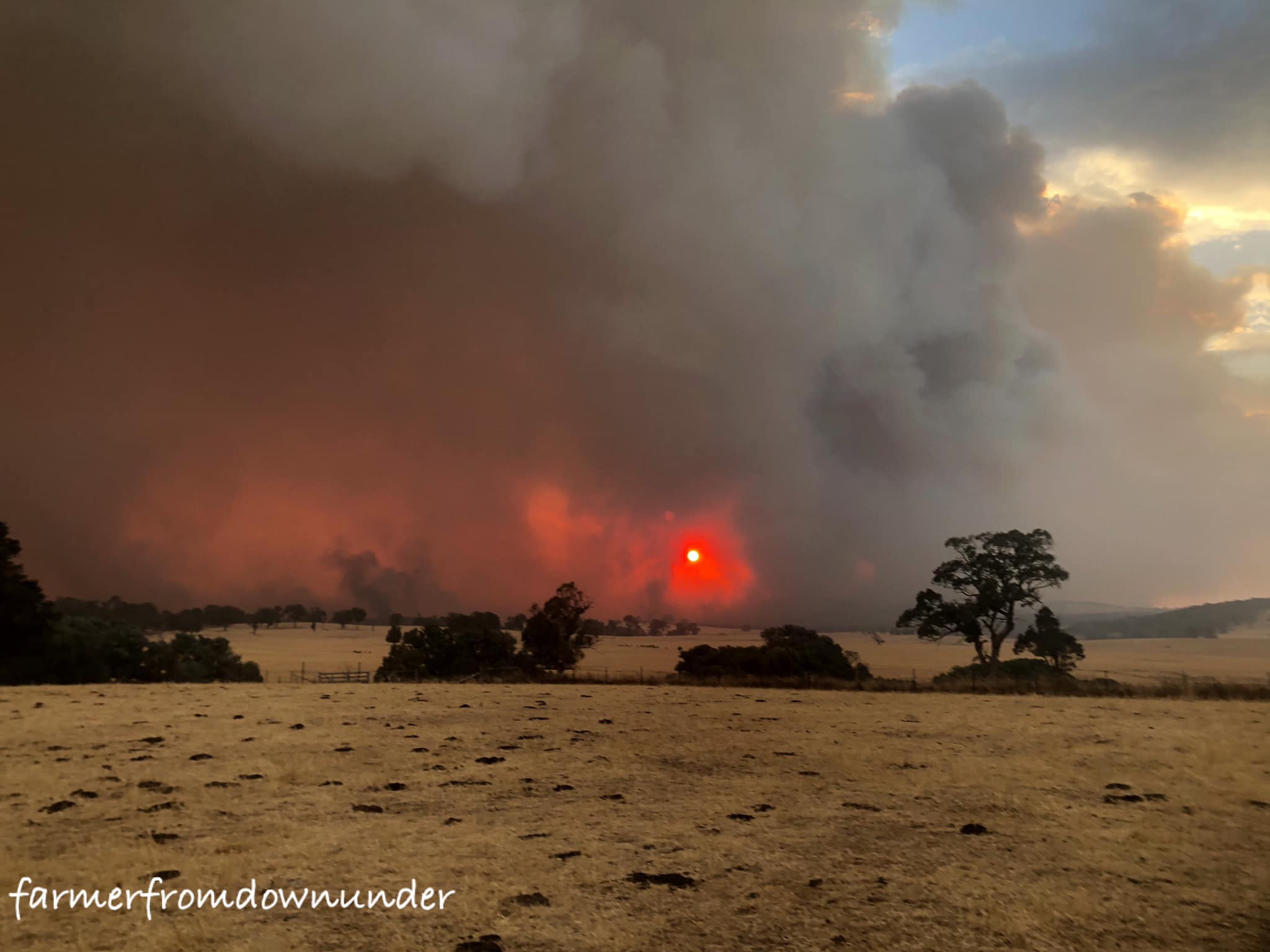 Tumut Fires 12