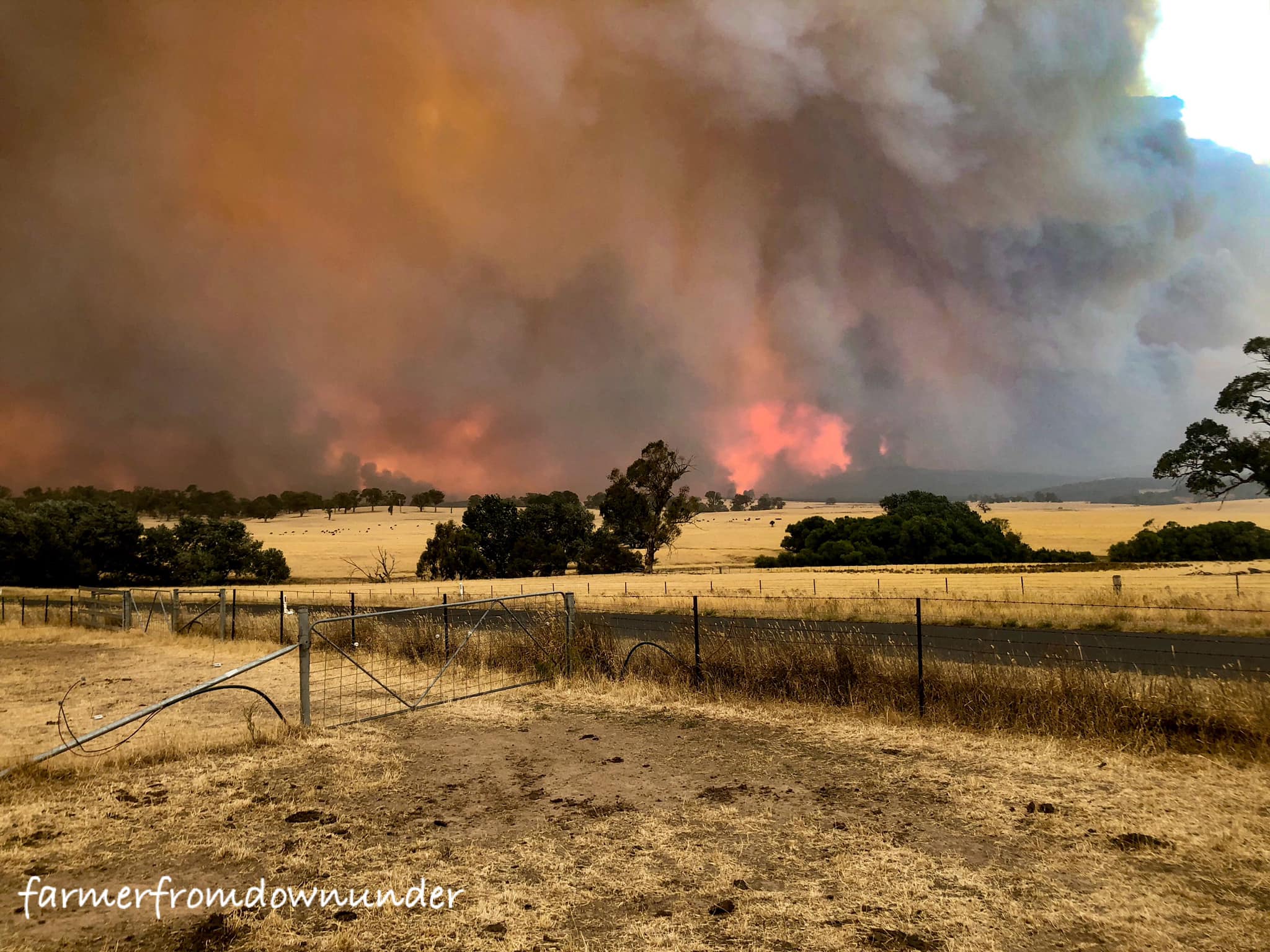 Tumut Fires 13