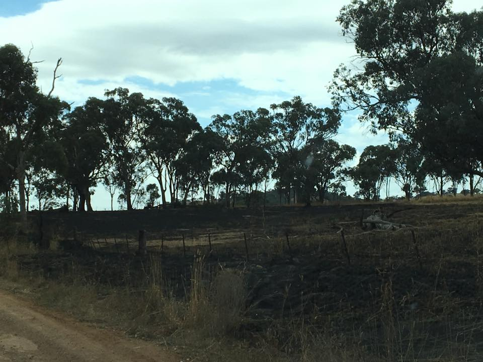 South Bowan Park Road Fire 2 