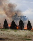 West Dubbo Rail Track fire