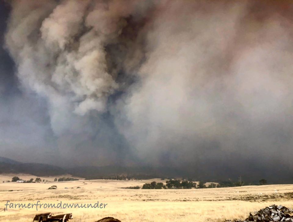 Tumut Fires 7