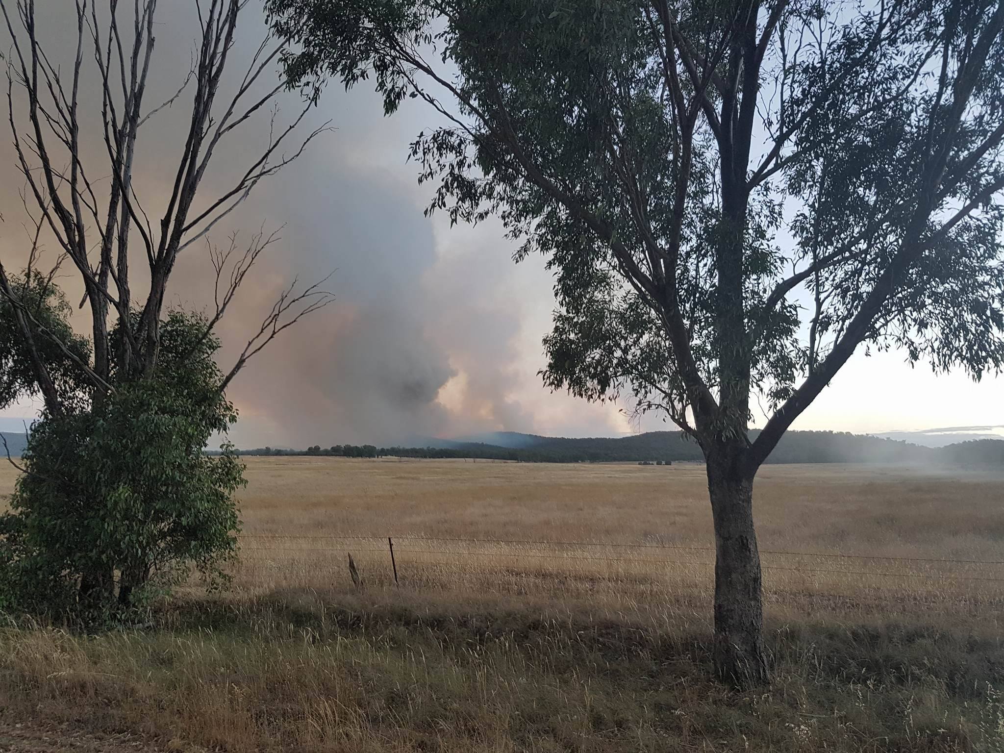 Mandagery Road, Parkes Fire 19 