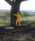 Tablelands Fires