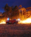 Bogan Gate Fires