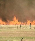 Narromine grass fire close to houses