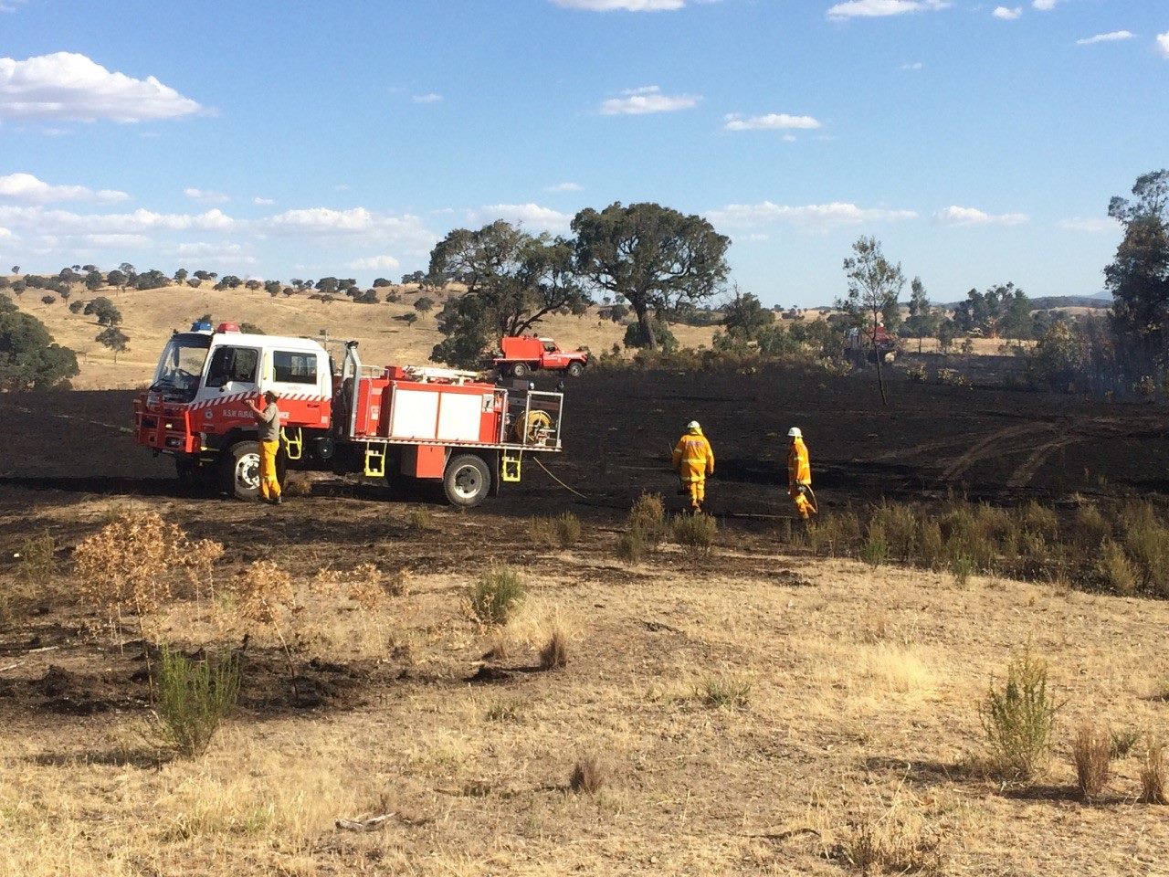 Euchareena Road fire 1