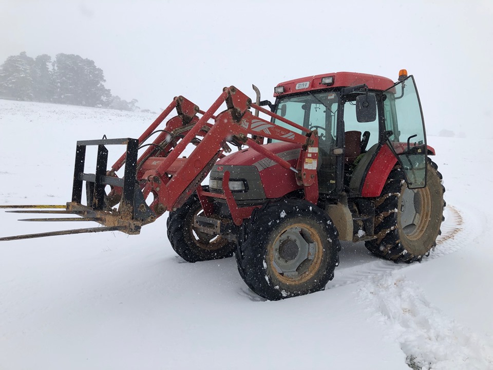 Tablelands snow 1