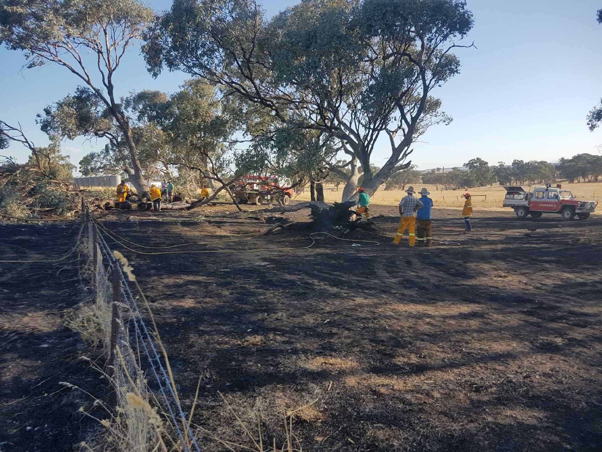 Nandillyon Fire, Molong 1