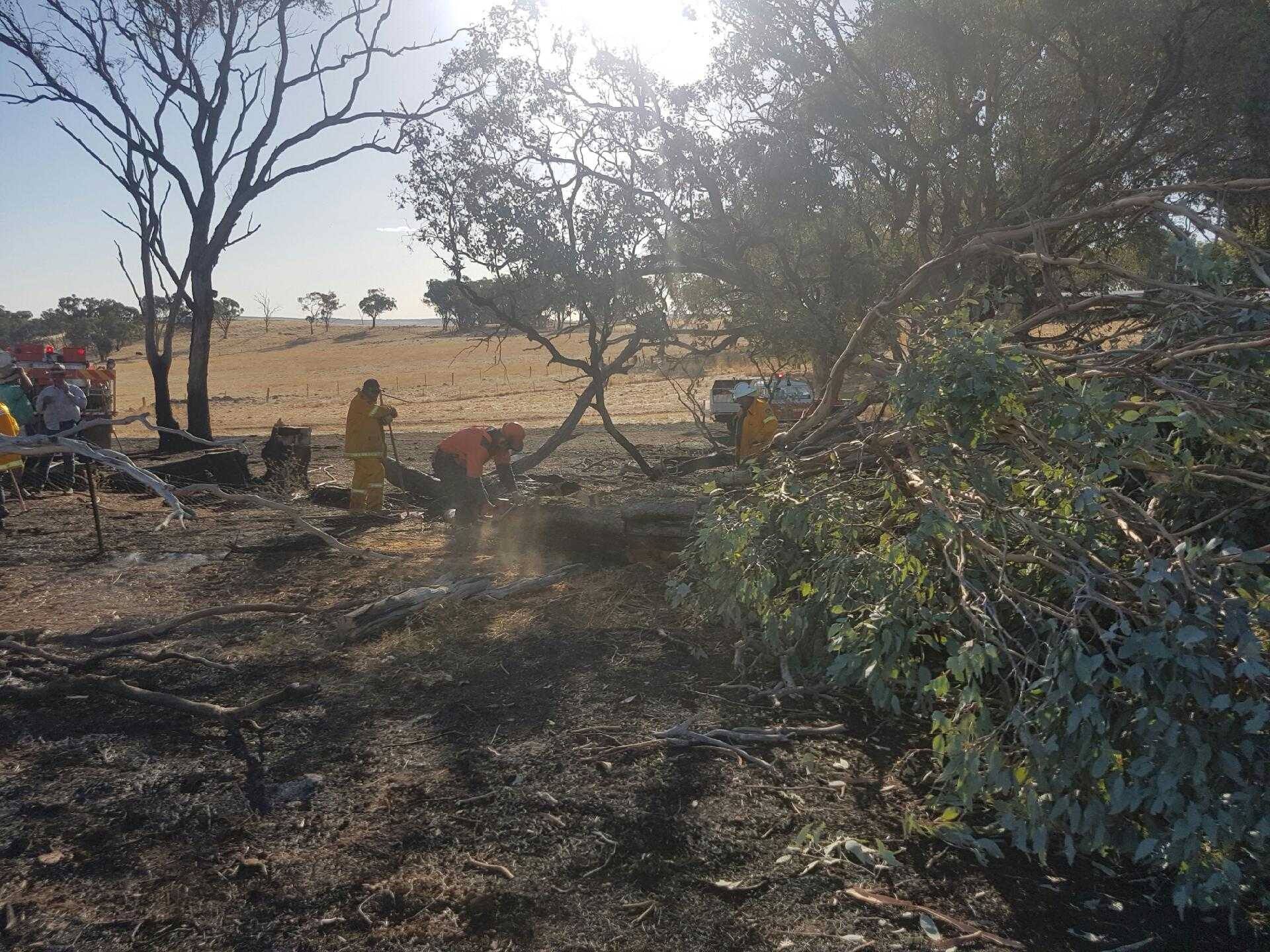 Nandillyon Fire, Molong 2