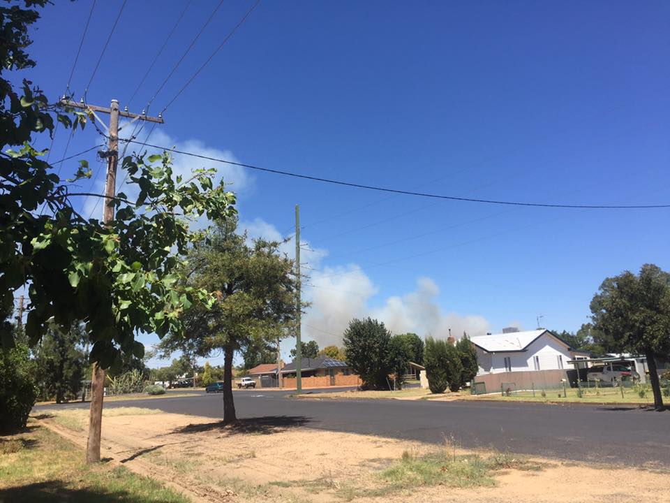 Dandaloo St, Narromine 